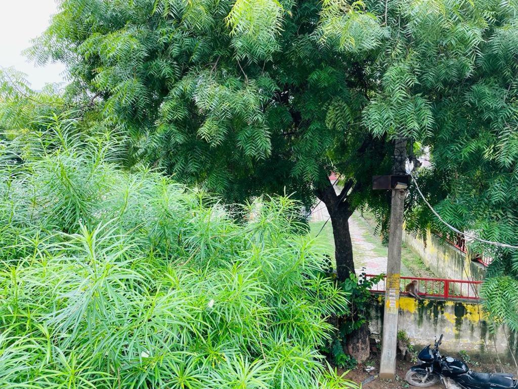 Shree Balaji Homestay Ayodhya المظهر الخارجي الصورة